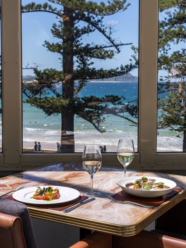 a view of Norfolk pines at Meribella, Terrigal