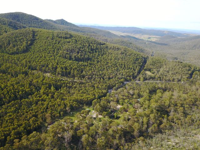 the lush bushlands at Woods Reserve Campground