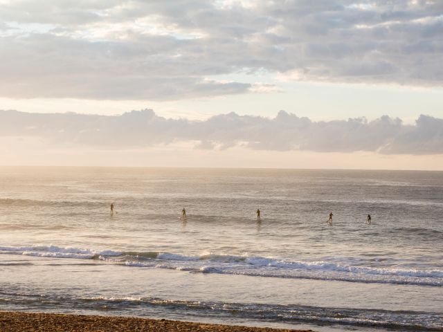 surfers at Shelly Beach, Central Coast