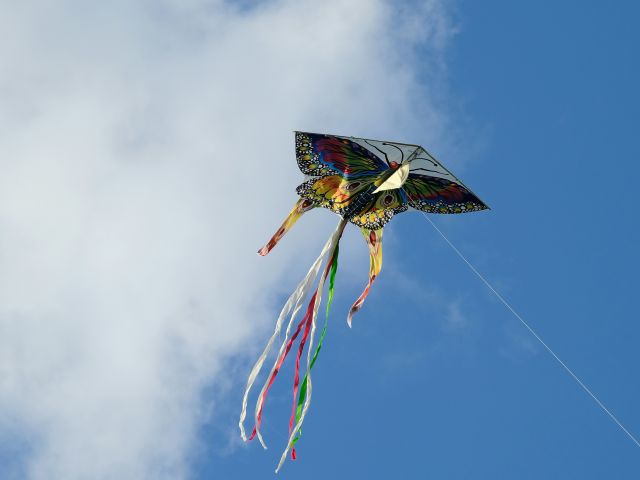 Unsplash image of a kite for the Beach Bash in Darwin, NT