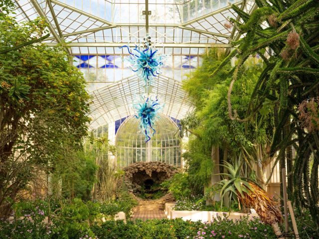 the Adelaide Botanic Garden