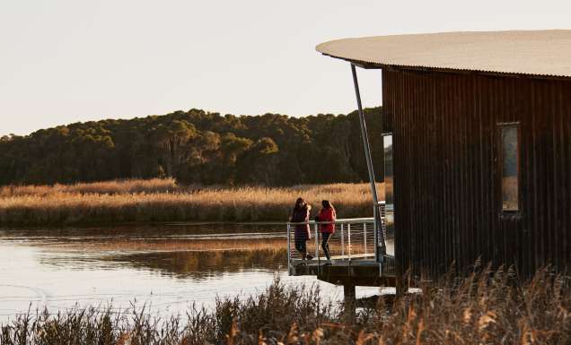 Tamar Island Wetlands Centre, Launceston