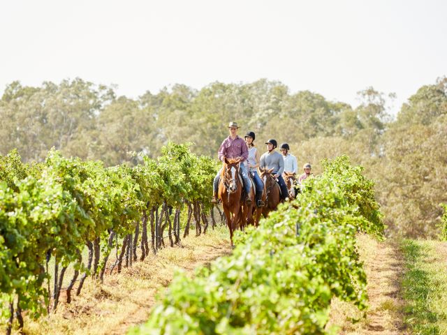 a guided horseback tour at Hanging Tree Wines, Pokolbin with Murchessons Horse Wine & Dine Tours