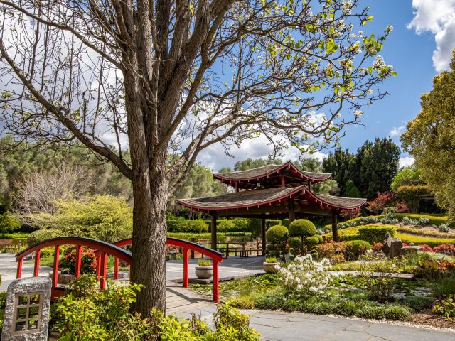 the Hunter Valley Gardens in spring