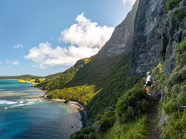 hikers taking the cliffside walk up Mount Gower, Lord Howe Island