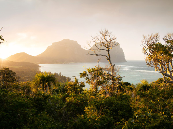 scenic views of Lord Howe Island at sunrise