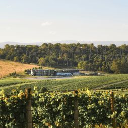 Yarra Valley wineries