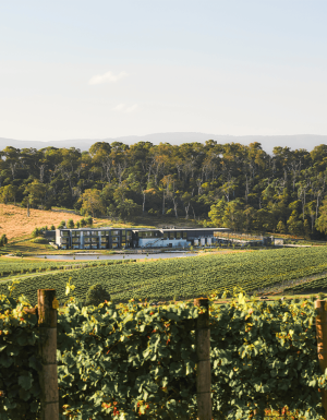 Yarra Valley wineries