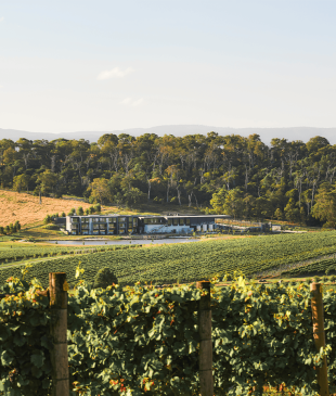 <p>The essential guide to <strong>Yarra Valley</strong> <em>wineries</em></p>
