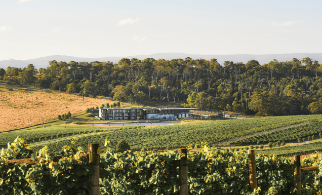 Yarra Valley wineries