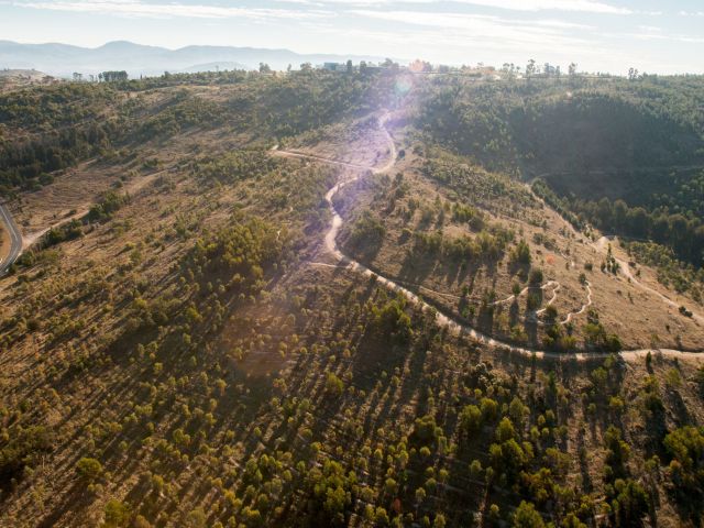 Stromlo Forest Park in Canberra, ACT
