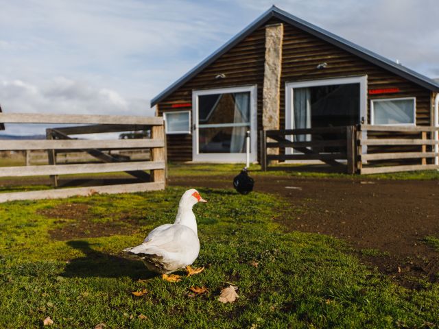 Bothwell in Tasmania