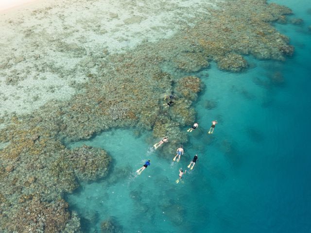 Snorkel Great Barrier Reef