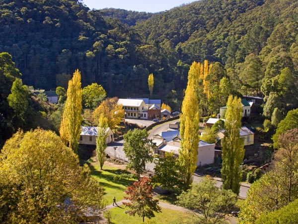Aerial view of Walhalla in autumn