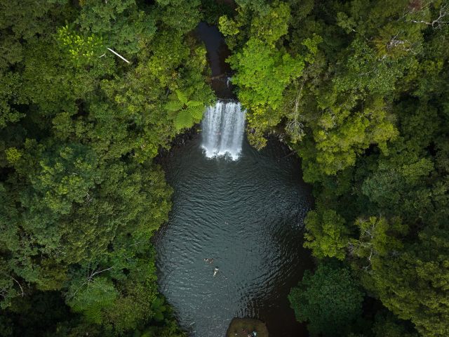 Millaa Millaa Falls, Cairns