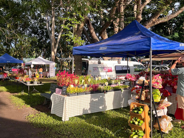 a stall selling plants and locally grown produce at Mareeba Markets