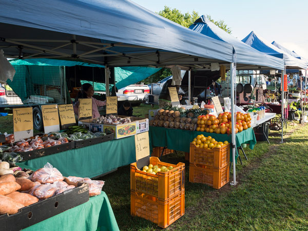 fruit stalls at Yungaburra Markets
