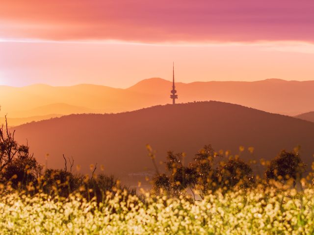 the Telstra tower on Black Mountain