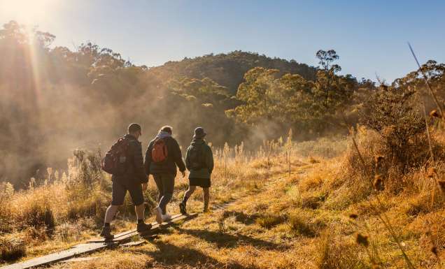 the Mindjagari Track in the Tidbinbilla Nature Reserve