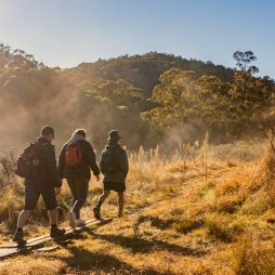 the Mindjagari Track in the Tidbinbilla Nature Reserve