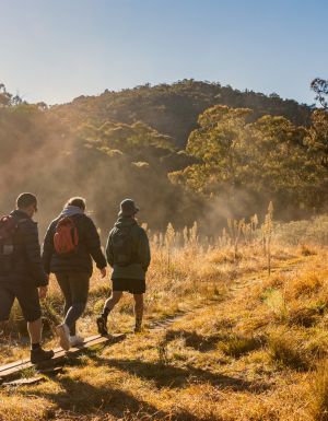 the Mindjagari Track in the Tidbinbilla Nature Reserve