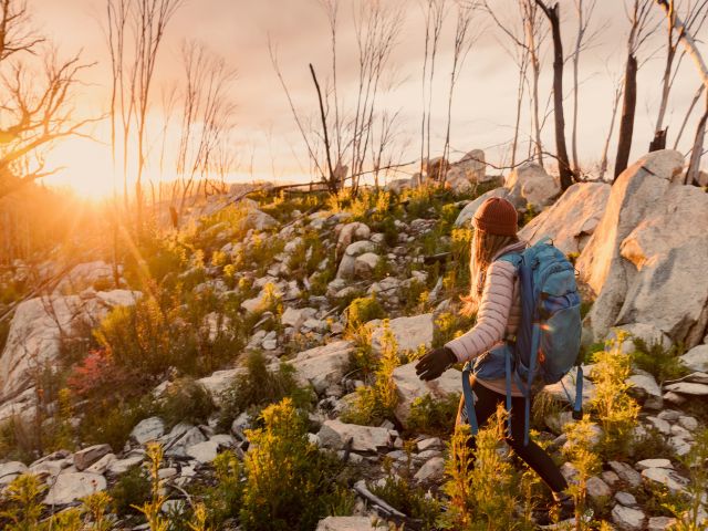 hiking the Booroomba Rocks Trail