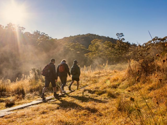 the Mindjagari Track in the Tidbinbilla Nature Reserve
