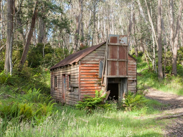 Ruins of the former town at Cassilis Historic Area
