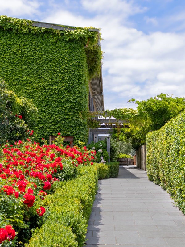 lush greenery surrounding Farmhouse at Meletos