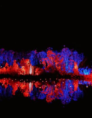 Illumina Light Show on K'gari (formerly Fraser Island)