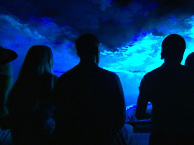 people watching k'gari illumina