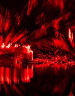 Illumina Light Show on K'gari (formerly Fraser Island), K'gari Illumina