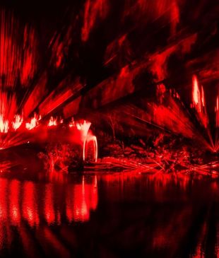 <p><strong>K&#8217;gari’s</strong> <i>Illumina light show</i> is one visual spectacle you need to see</p>
