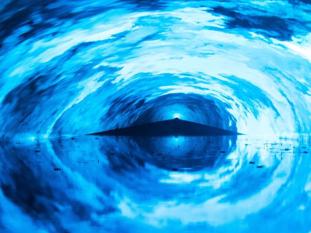 blue scene from k'gari illumina