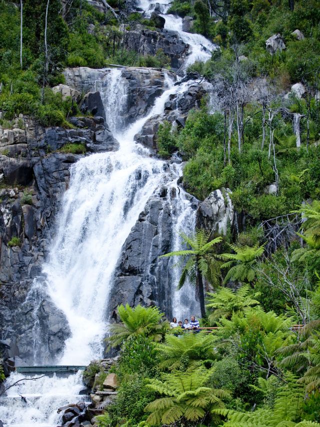 Steavenson Falls, Melbourne