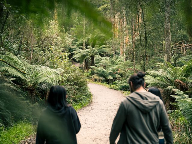1000 Steps Walk, Ferntree Gully