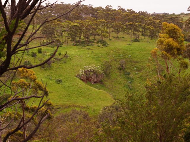 Organ Pipes National Park, Calder Park