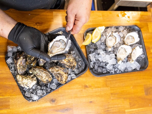 fresh oysters at Eat Street Northshore