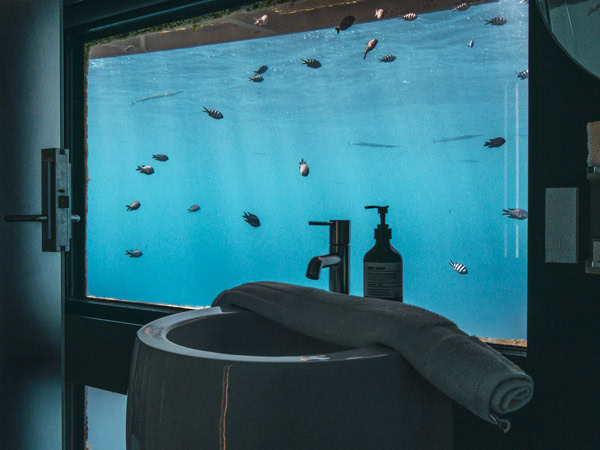 view from the loo in Reefsuites