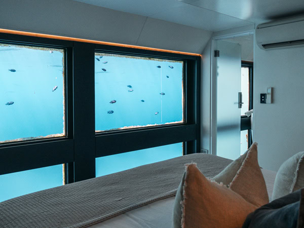 Reefsuites view of fish