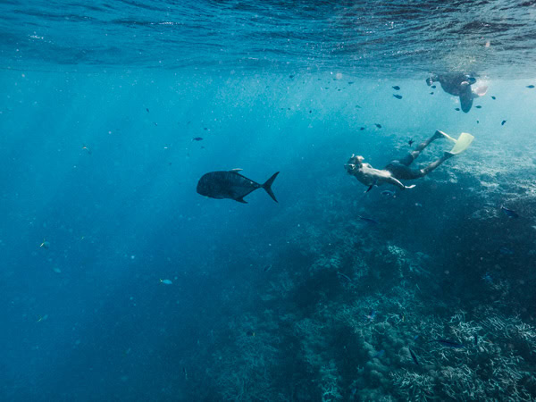 Snorkelling at Reefworld