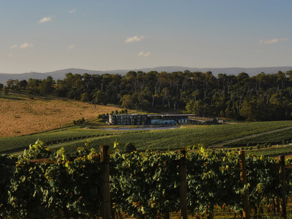 a scenic vineyard landscape at Re’em Yarra Valley