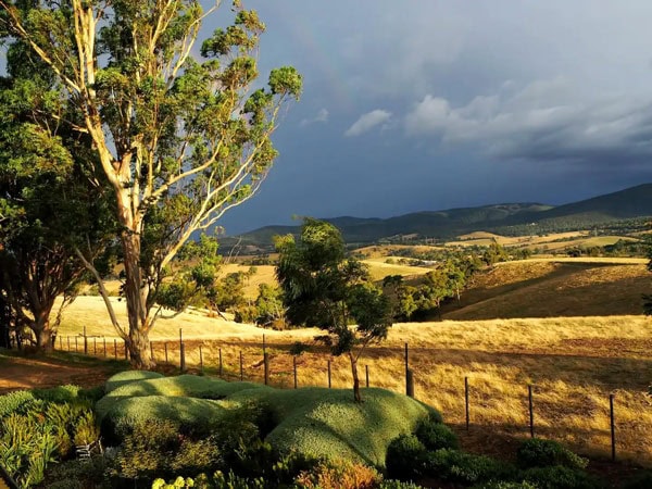 the vineyard landscape at Shaws Road Bed and Breakfast, Yarra Valley