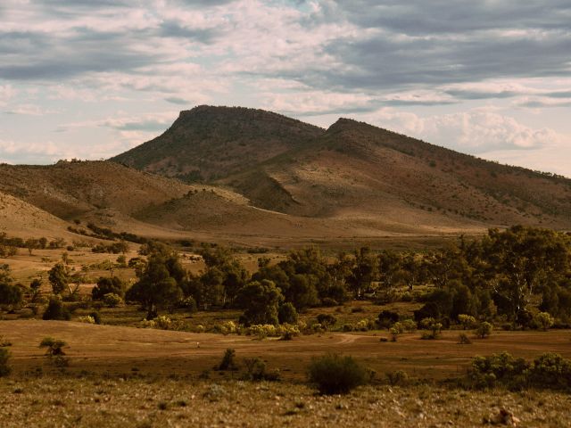 Mount Little Station, Flinders Ranges