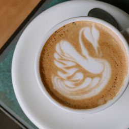 swan latte art at ONA Coffee House
