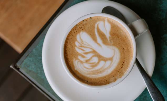 swan latte art at ONA Coffee House