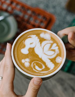 Seahorse coffee art at Giant Coffee, Perth