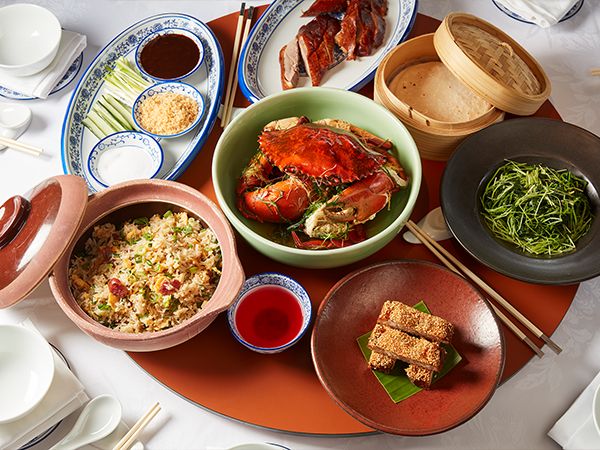 Song Bird. Best restaurants Sydney