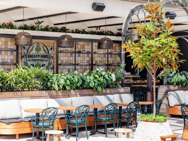 the lush beer garden at Valley Hops Brewing, Brisbane
