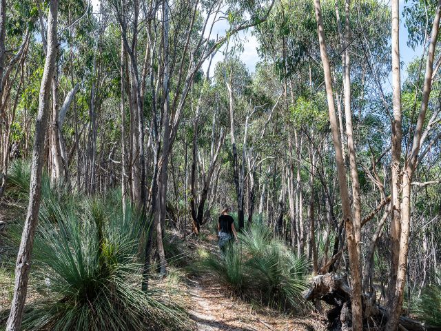 Brisbane Ranges National Park
